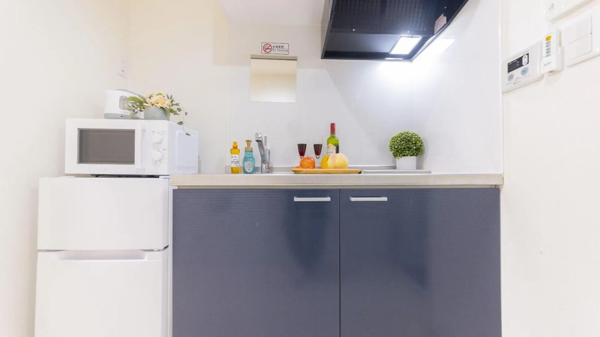 Fl Residence Takadanobaba Tokyo Apartment