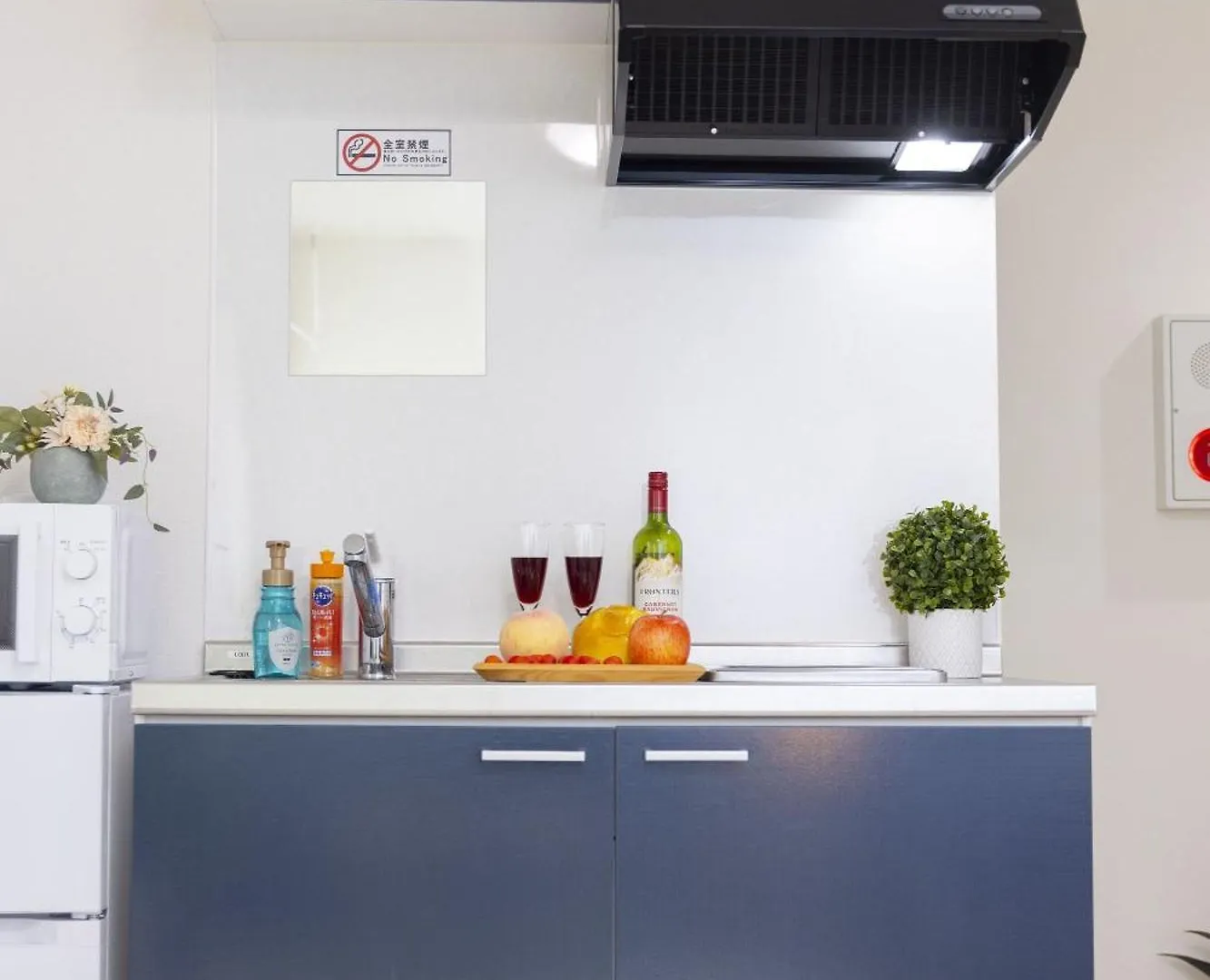 Fl Residence Takadanobaba Tokyo Apartment